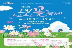 호법 코스모스 꽃축제 대표 사진