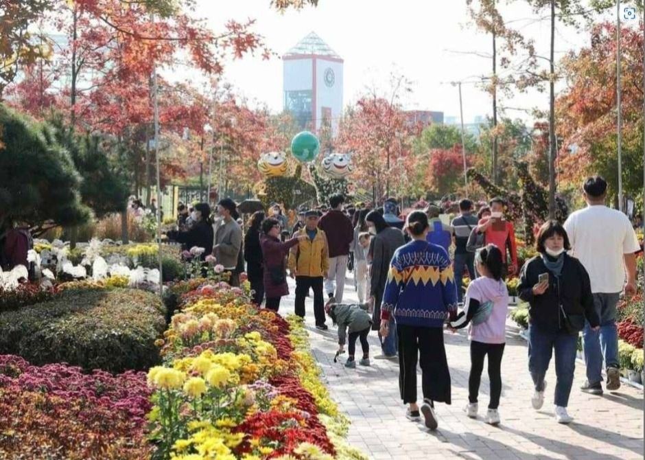 유성국화축제 대표 사진