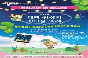태백 천상의 산나물 축제 대표 사진
