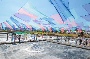 시흥갯골축제 대표 사진
