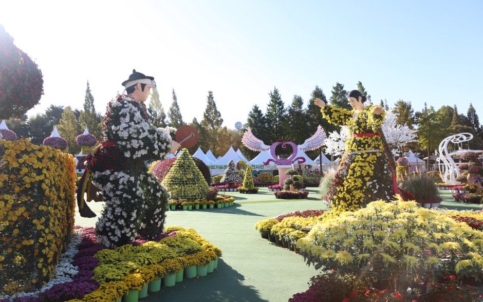 익산천만송이 국화축제 대표 사진