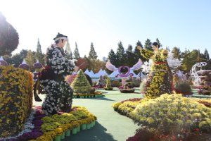 익산천만송이 국화축제 대표 사진