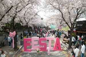 경주 대릉원돌담길 축제 대표 사진