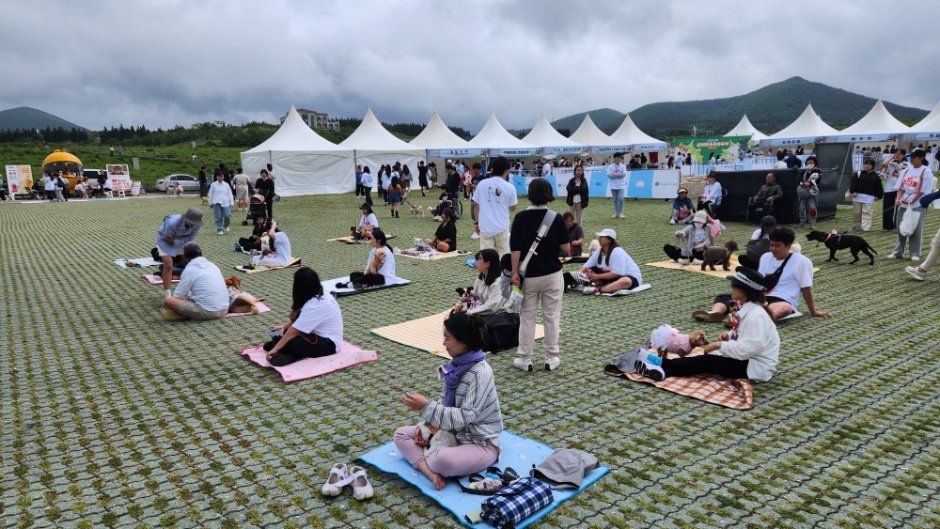 제주 반려동물 문화산업 한마당 대표 사진
