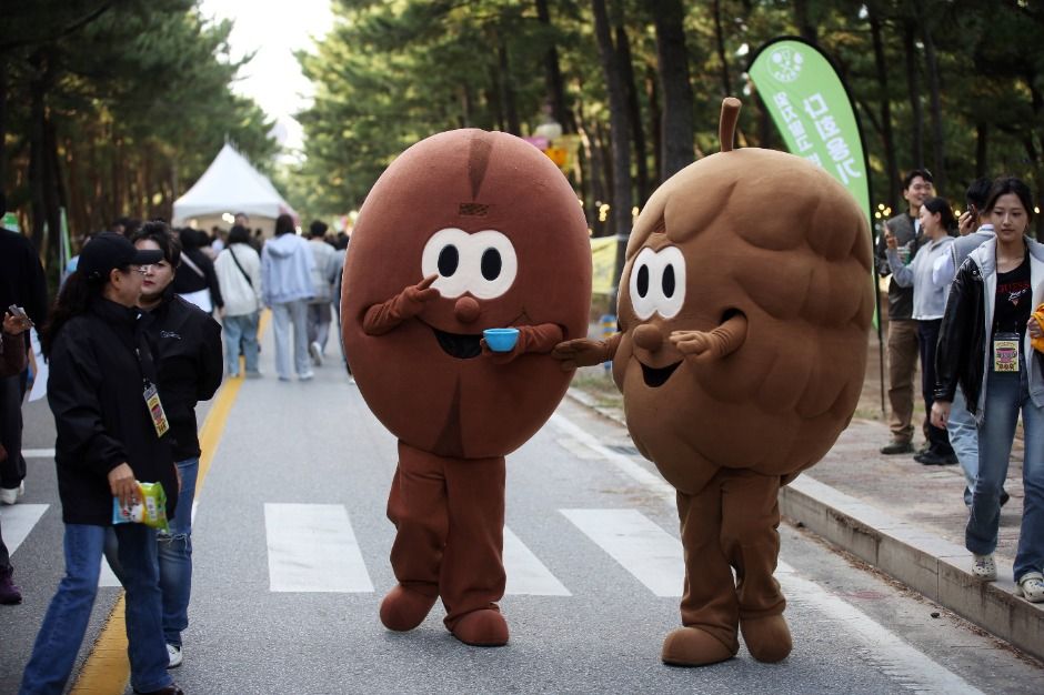 강릉커피축제 대표 사진