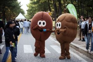 강릉커피축제 대표 사진