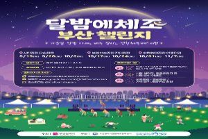 달밤에체조 부산 챌린지 대표 사진