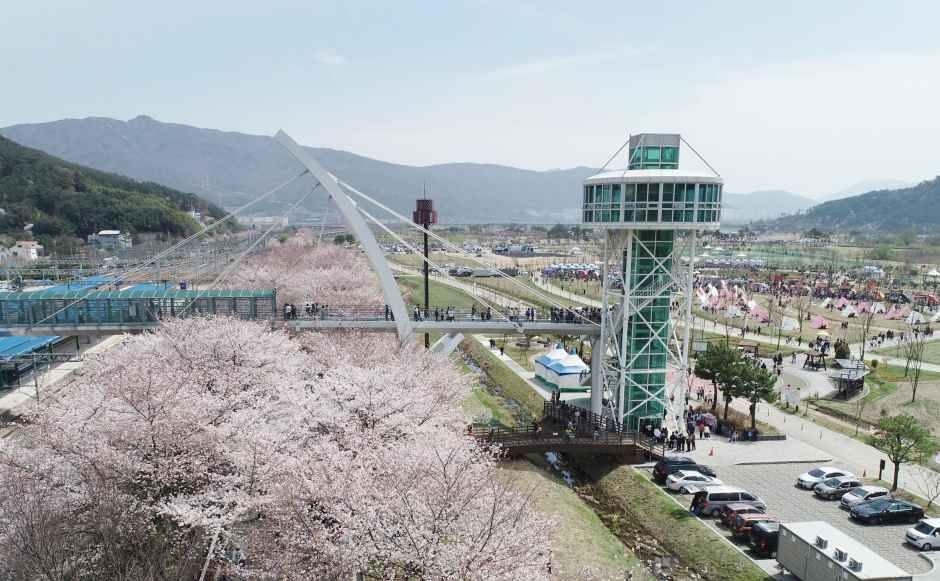 물금벚꽃축제 대표 사진