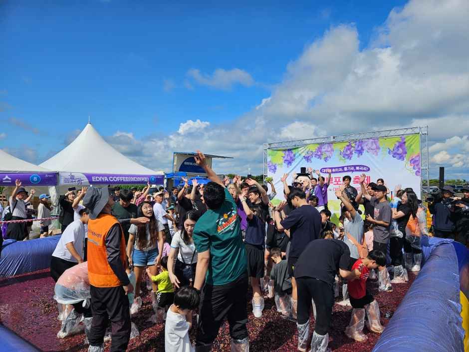 안산 대부포도축제 대표 사진