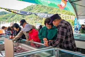 횡성한우축제 대표 사진