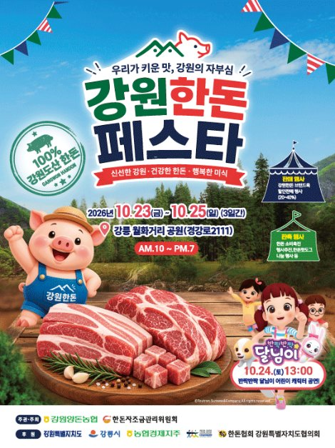 강원한돈페스타 대표 사진