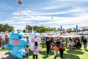 김제지평선축제 대표 사진