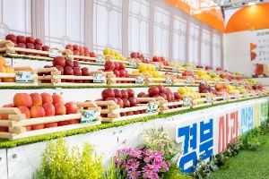 2025 경북사과홍보행사 대표 사진