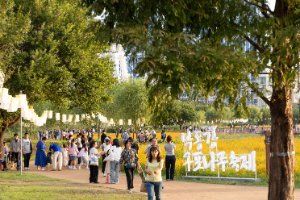 낙동강 구포나루 축제 대표 사진