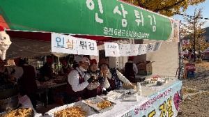 홍천 인삼한우 명품축제 대표 사진