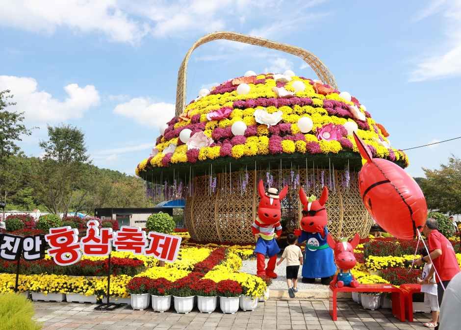 진안홍삼축제 대표 사진