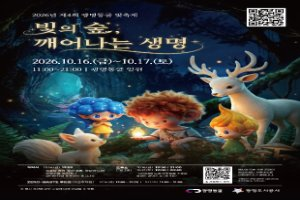 광명동굴 빛 축제 대표 사진