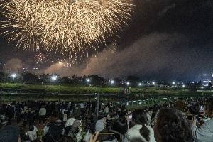 운정호수공원 불꽃축제 대표 사진