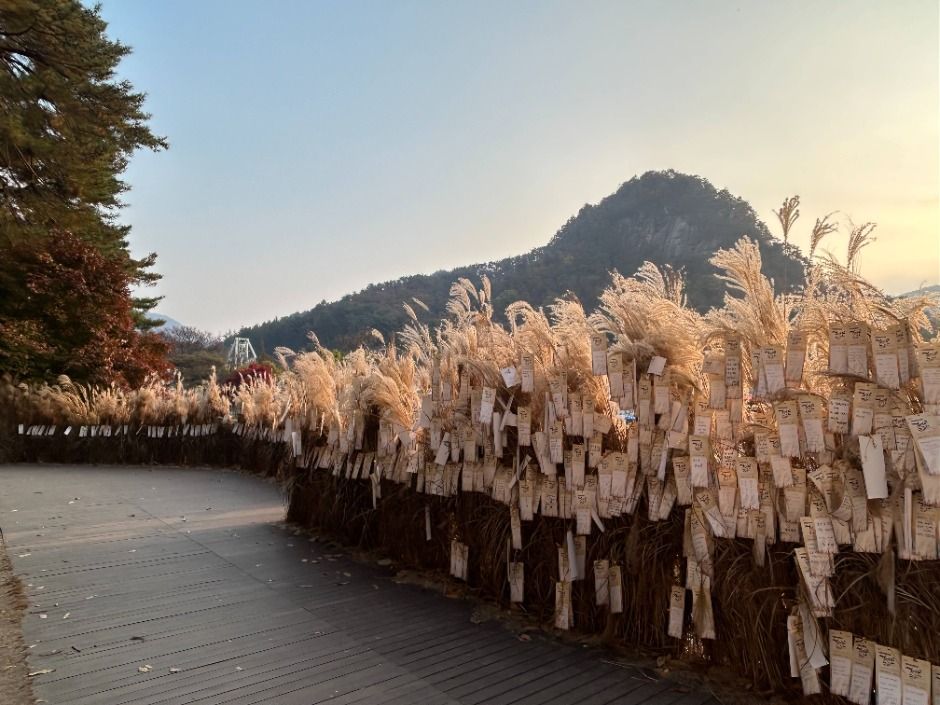 포천 산정호수 명성산 억새꽃축제 대표 사진