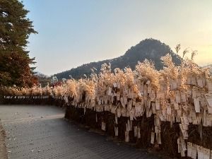 포천 산정호수 명성산 억새꽃축제 대표 사진
