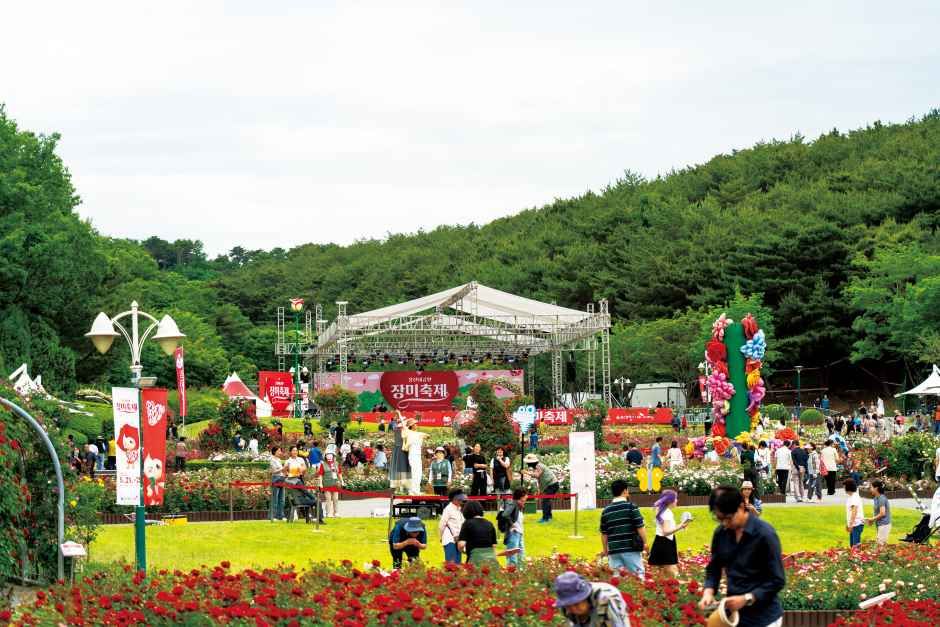울산대공원 장미축제 대표 사진