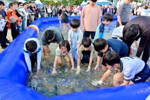 부산고등어축제 대표 사진