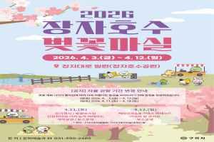 장자호수 벚꽃마실 대표 사진