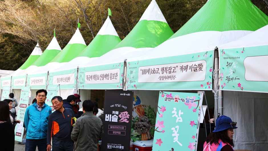 비슬산 참꽃문화제 대표 사진